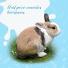 Fancy Pets Red Kite Sustituto de Leche para Conejos y