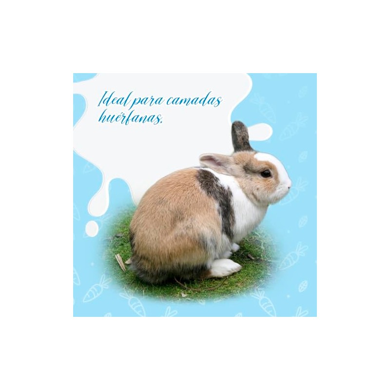 Fancy Pets Red Kite Sustituto de Leche para Conejos y