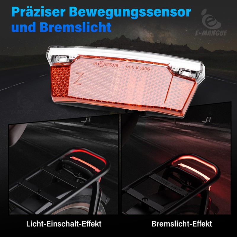 E-Mangue LED Bicycle Pannier Rack Light with Reflector, StVZO Approved
