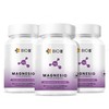 BIO B | 3 Pack Magnesio | 60 cápsulas veganas
