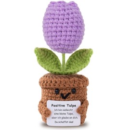 Aruigu Pocket Hug Positive Tulip Gifts - Positive Potato German Substitute, Courage Gift, Get Well Soon Gift, First Day Gift, Mother's Day Gift