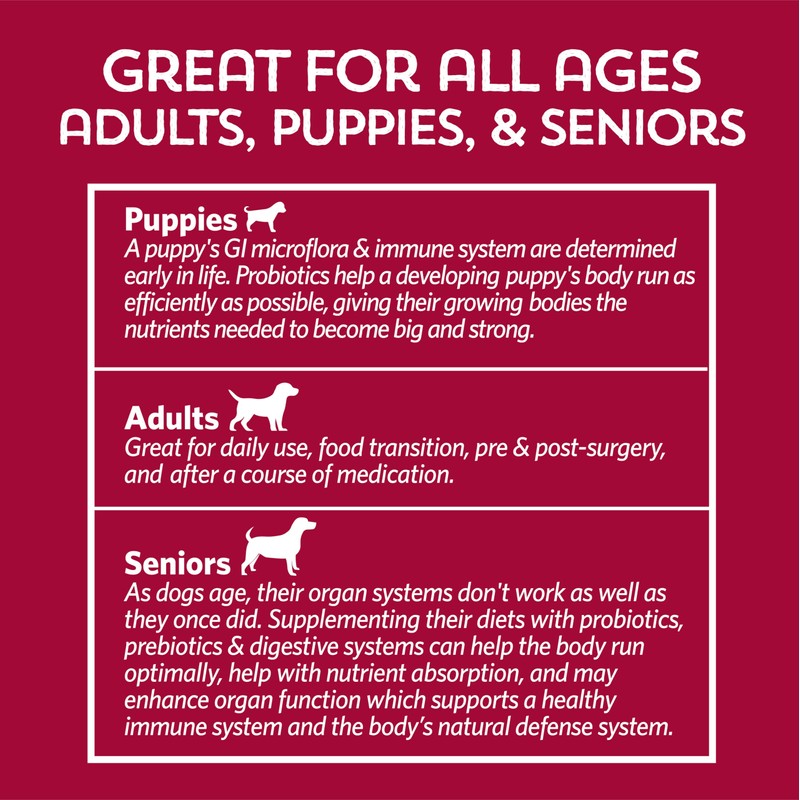 Fidobiotics Good Guts for Big Mutts Probiotic for Dogs, 12