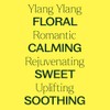 Plan Therapy - Aceite Esencial De Ylang Ylang 10ml