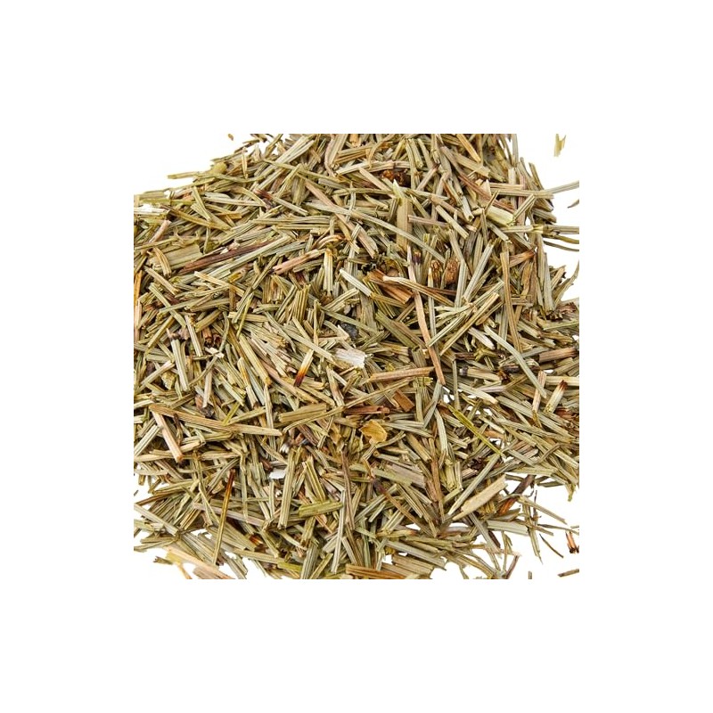 Old India Horsetail Herb Dried 100g