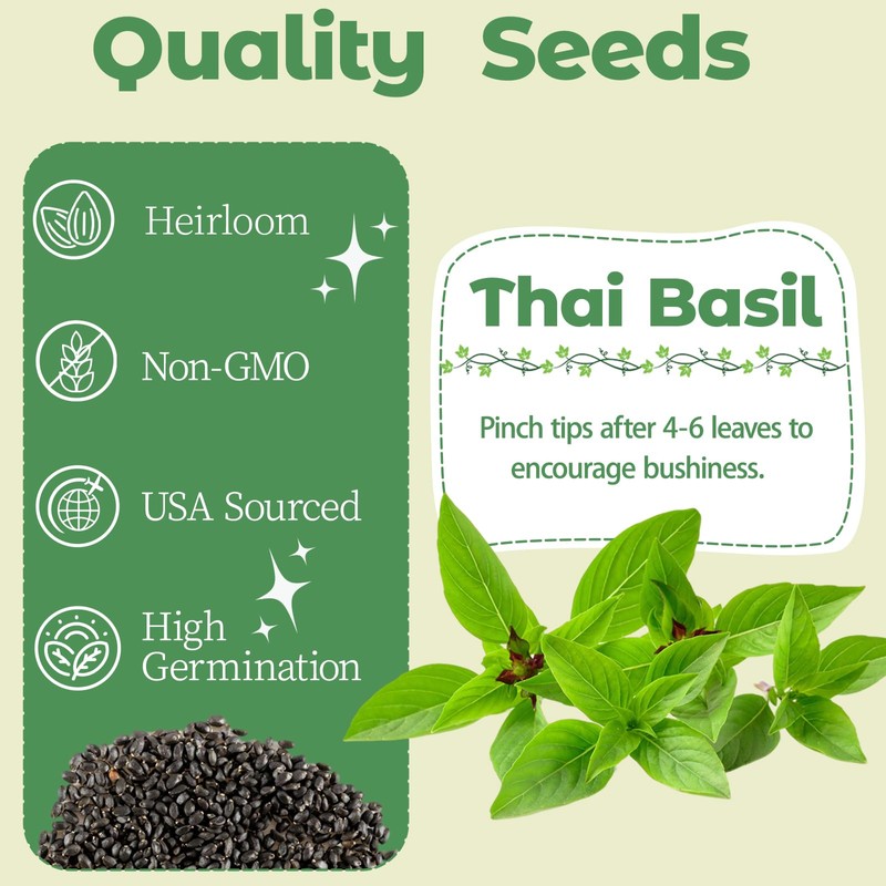 Basil Seed Pods Kit Hydroponic - Refill Herb Pod for
