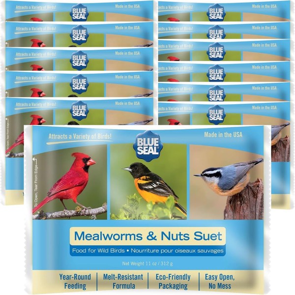 Blue Seal Mealworms & Nuts Suet Cakes for Wild Birds - No Mess Suet Feed, Food for Woodpeckers, Cardinals, Siskins, Sparrows & More - 11oz Suet Feeder, Bird Seed Cakes (Pack of 12)