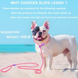 Slip Lead Dog Leash Slip Lead 5FT Dog Training Leash 9 Color Slip Leads for Dogs Dog Leashes for Medium Dogs No Pull Dog Leash(Pink)