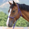 Harrison Howard Rope Halter for Horses - Super Sturdy Horse