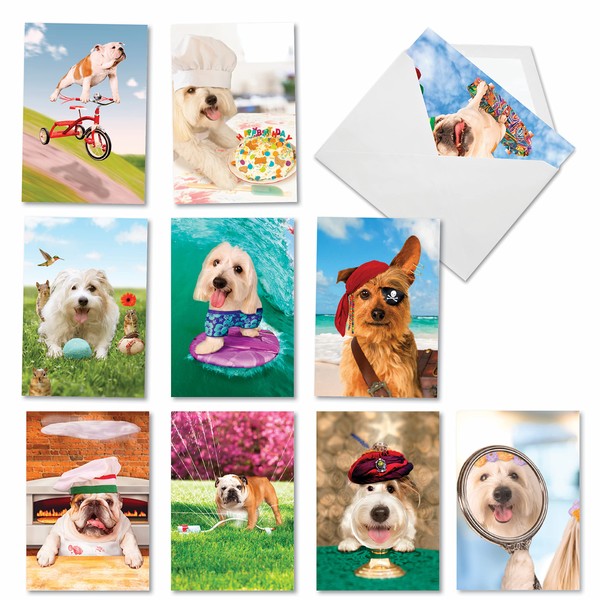 NobleWorks - 10 All Occasion Assorted Dog Cards with Envelopes - Blank Boxed Card Set, Pet Animals - Shaggy Dogs AC3216OCB-B1x10