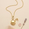 YOUFENG Bunny Locket Platinum 14K Gold-Filled Rabbit Lockets that Hold