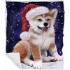 Shiba Inu Dog Blanket - Let it Snow - Super