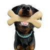 Augie Bones Non-Toxic Dog Toys - Sustainable Peanut Butter Flavored