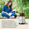 Creavitalis® Creatine + B5 Capsules | Pack of 150 |