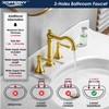 Roffenny Brushed Gold Bathroom Sink Faucet 8 Inch Widespread 3