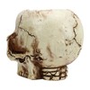 Skull Head Flower Pot Resin High Strength Clear Shape Skull