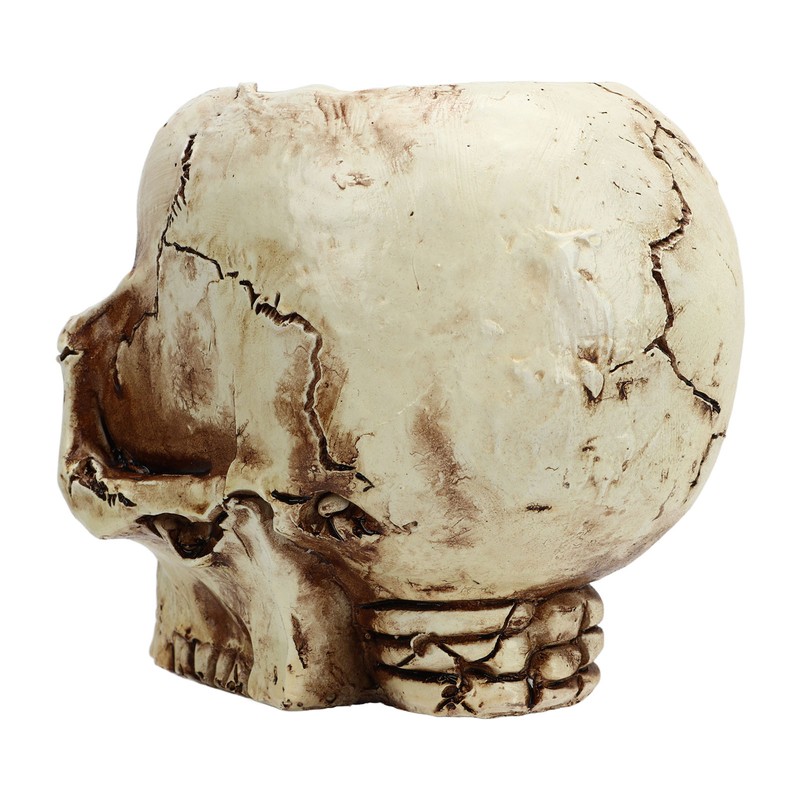 Skull Head Flower Pot Resin High Strength Clear Shape Skull