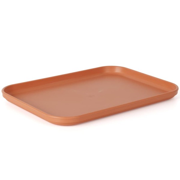 WOLEDOE Reptile Large Water Dish, Tortoises Food Bowl - S