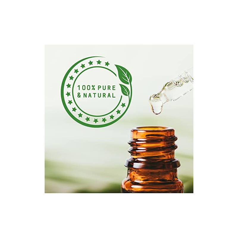 Cocoa Absolute 5ml - 100% Pure