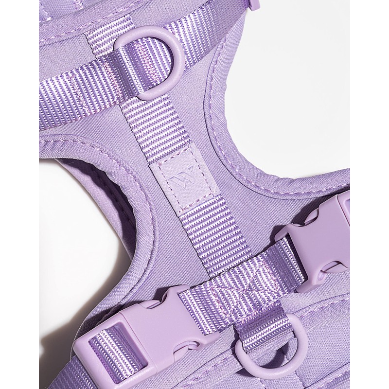 Wild One Harness 2.0 - Medium - Lilac