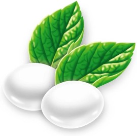 Dare Original Scotch Mints Candy, 700g/1.5 lb