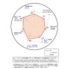 DIXCEL Brake Pad [ES type Extra Speed] (for rear) Nissan