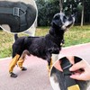 Adjustable Harness - Style Dog Shoes with Reflective Strips, Anti