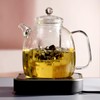 high borosilicate glass kettle with scale markings, a 2000ml water