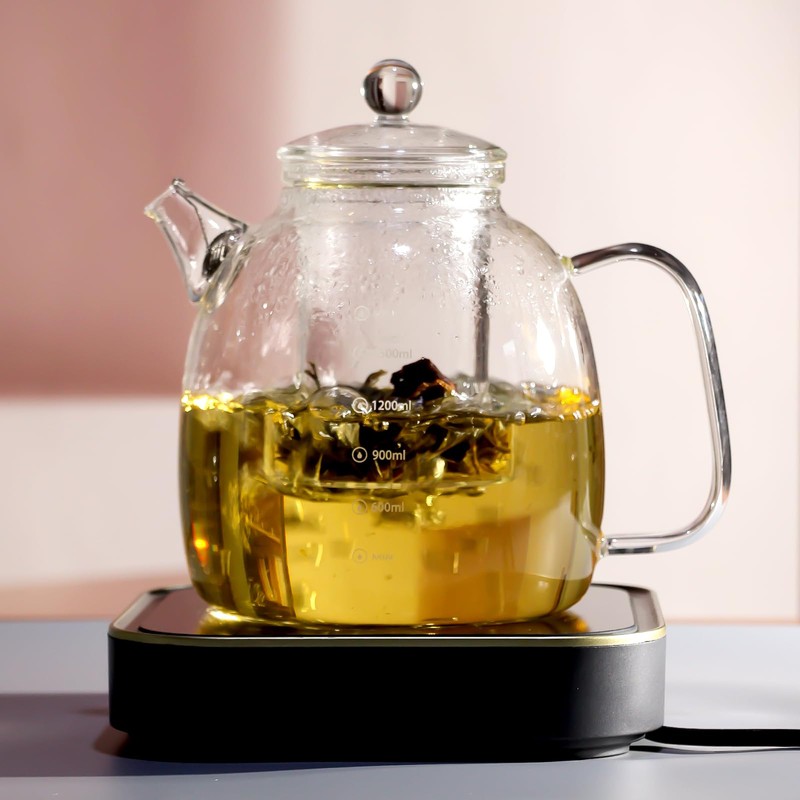 high borosilicate glass kettle with scale markings, a 2000ml water