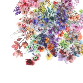 LNSYSNS Flower Stickers Vintage Set - 200 Pieces Coloured Stickers Flowers with Aesthetic Sticker Design for Albums, Diaries & Mobile Phones