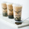 Locca Boba Tea Kit | 24+ Bubble Teas | Premium