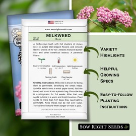 Sow Right Seeds - Rose Milkweed Seeds for Planting - Attract Monarch Butterflies to Your Garden - Non-GMO Heirloom Seeds, Instructions to Grow - Perennial Plant for Pollinators - Swamp Variety (1)