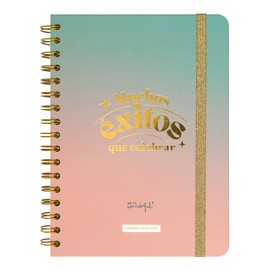 Mr.Wonderful – Office Agenda 2024-25 Weekly 18 Months – Many Successes to Celebrate