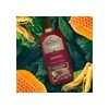 Shampoo Tío Nacho Ginseng + Jalea Real Anti-Caída 415 ml