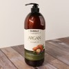 Food Aholic Bubble Therapy Argan Shampoo 1500ml/Large Size / 푸드어홀릭