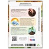 Seed Needs, Dwarf Teddy Sunflower Seeds - 100 Heirloom Seeds