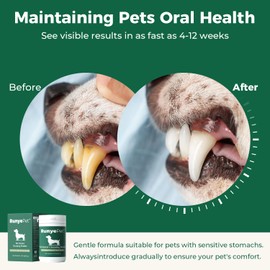 RunyePet Dog Dental Powder, Plaque Off Pet Tooth Cleaning lab co - Bad Breath & Tartar Remover for Dogs, Dog Teeth Cleaning Powder and Cats Breath Freshener (1)