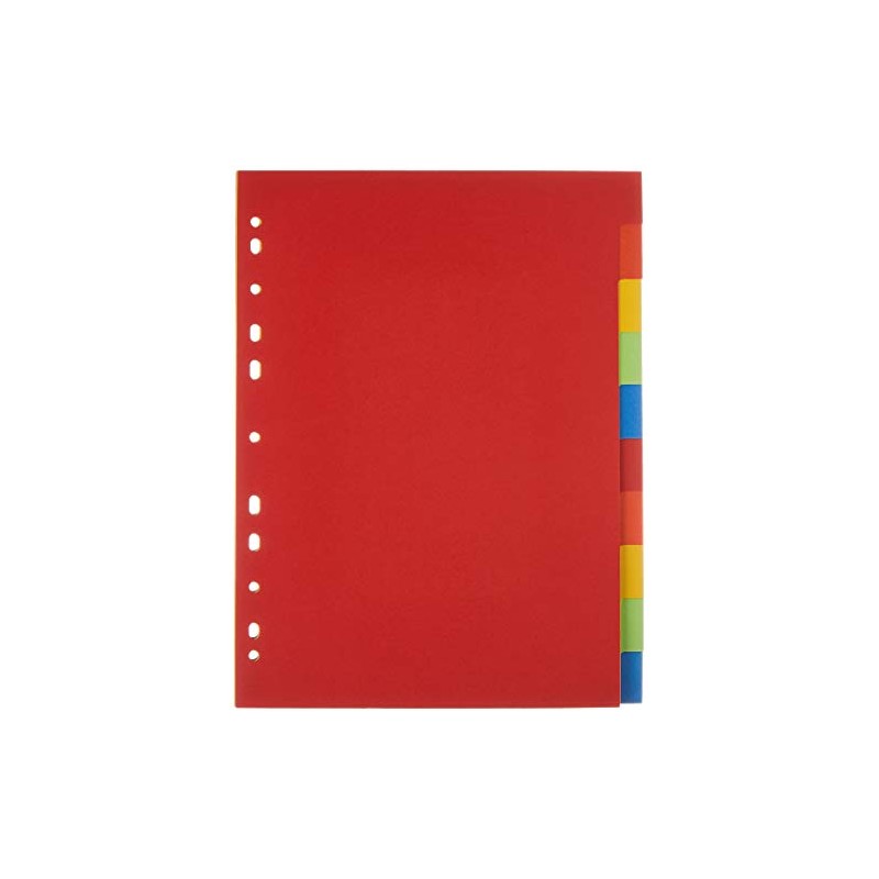 Herlitz A4 Manila Cardboard Index 10 Sheets 5 Assorted Intensive