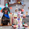 Bokon 3 Tier Puppy Dog Cupcake Stand and 24 Pcs