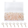 Zhtulck Clear Push Pins for Pinboard, 100 Pcs Drawing Pins