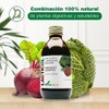 Lacticol Probioticos Mujer Hombre Elaborado Ingredientes Naturales Enzimas Digestivas Vivos