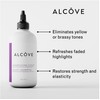 Alcôve - Violet Shampoo - Evening Primrose Oil, Mango Extract,