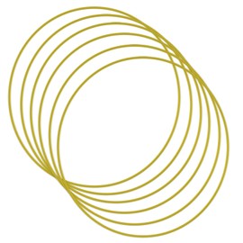 VQRTKS 6PCS 8 inch Metal Rings Hoops Craft Floral Gold Dream Catcher Rings Macrame hoops for DIY Crafting Wreaths Macrame Projects (8inch*6pcs)