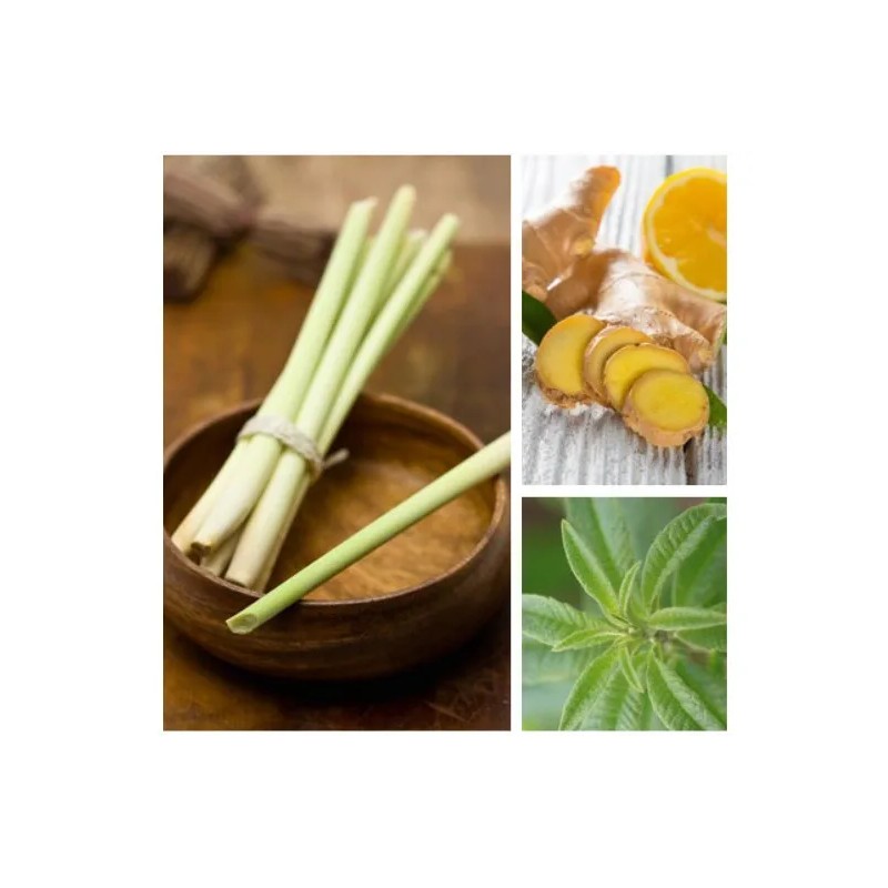 Aromas Para Difusores Profesionales A Base De Aceites 100ml Spa