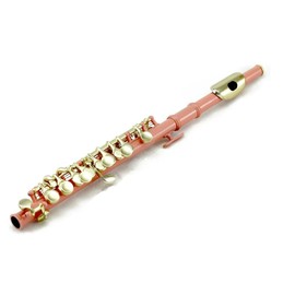 Sky Band Approved Piccolo Key of C with Hard Case, Cloth, Cleaning Rod, Joint Grease and Screw Driver, Beautiful Sound (Pink/Gold)