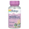 Boswellia Resin Extract 450 mg Capsules 60 counts, 60 tablets, 1 unit / 보스웰리아 수지 추출물 450 mg 캡슐 60카운트, 60정, 1개