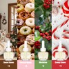 Plug-In Air Freshener Refills 12 Pack - Summer Scents with