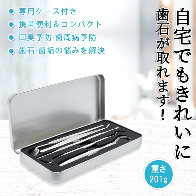シルバー 【一般医療機器】歯石取り 器具 デンタルミラー スケーラー 舌ブラシ 歯垢除去 ステンレス鋼製 収納ケース付き 五点セット