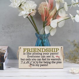 Funny Friend Gifts for Women: Best Friendship Gift Under $15 - Wooden Plaque Sign for Her & BFFs