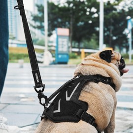 OneTigris Bolt Short Traffic Dog Leash for Small Medium Large Dogs(Black,M)