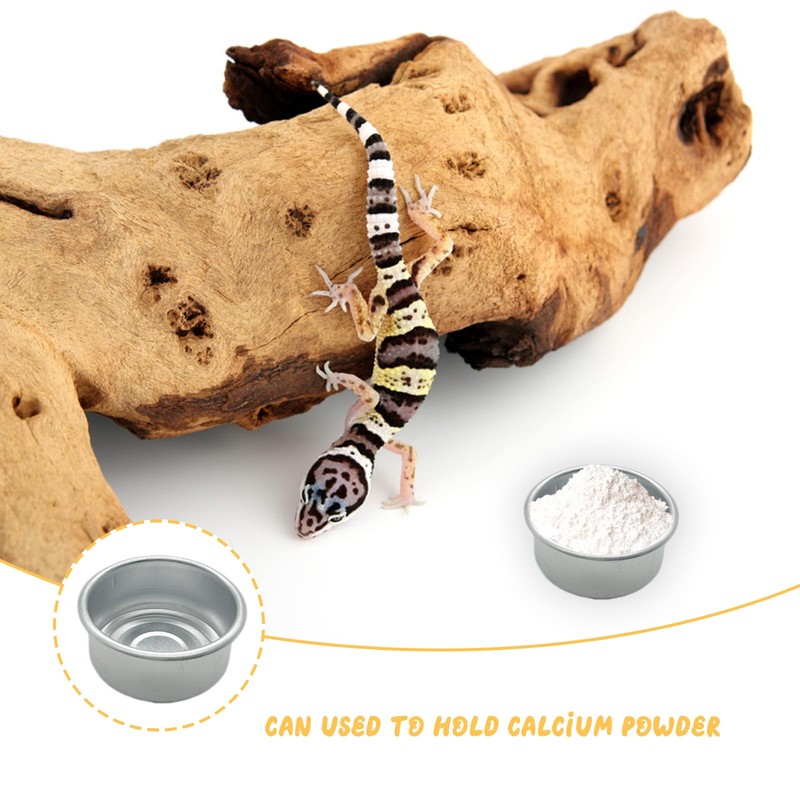14 Pcs Gecko Food Cups, Crested Gecko Food Dish, 0.5oz